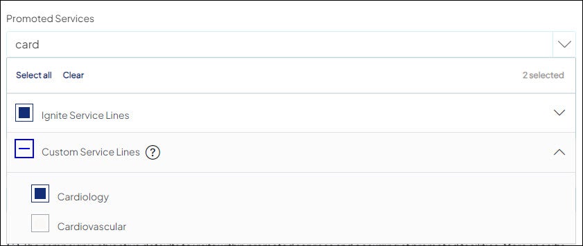 Screenshot of the Custom Service Lines selection with some custom service lines displayed.