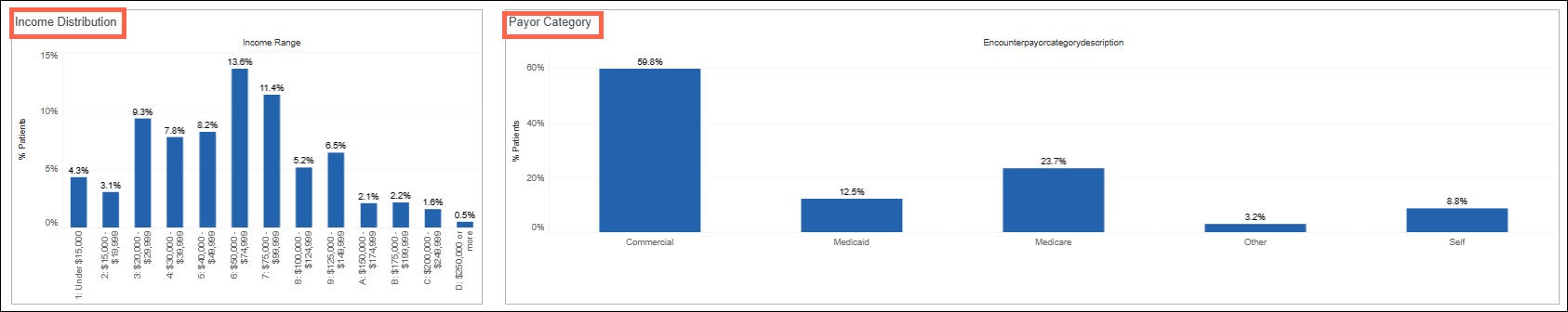 Screenshot of some sample Income Distribution and Payor Category charts.