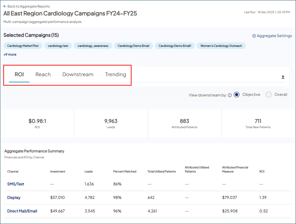 Screenshot highlighting the four reporting dashboard tabs for a sample Aggregated Campaign. The ROI tab content is currentli visible, showing important metrics including RIO, Leads, Attributed Patients and Total New Patients. An Aggregated Performance Summary displays near the bottom.