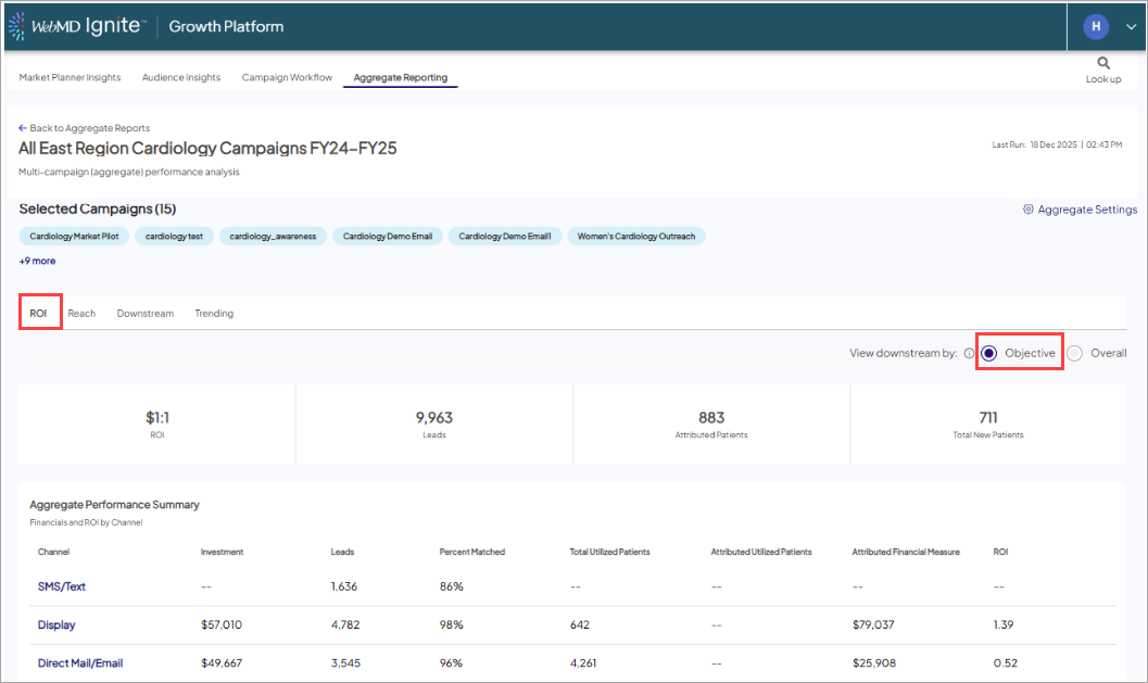 Screenshot of a sample ROI tab in Aggregate Reporting. The 'ROI' tab itself and 'View downstream by: Objective' option is highlighted.