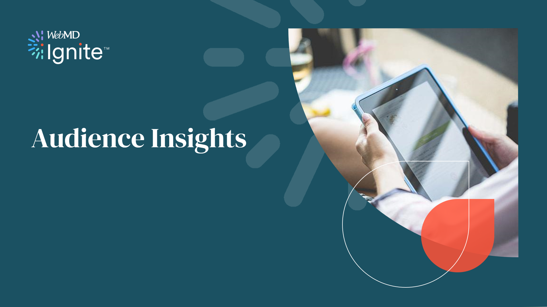 Audience Insights course in Ignite Academy